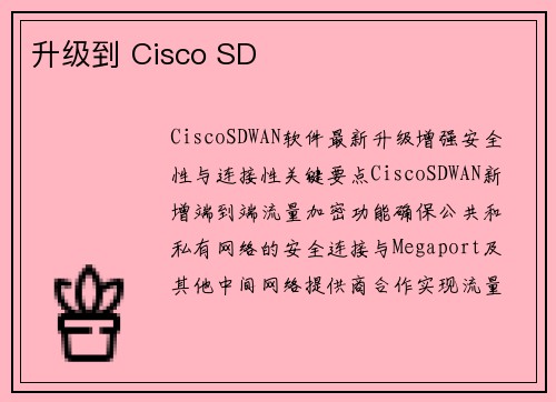 升级到 Cisco SD